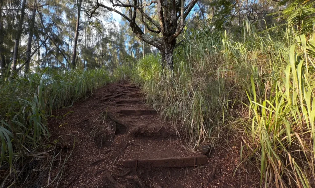 Ehukai Pillbox Hike