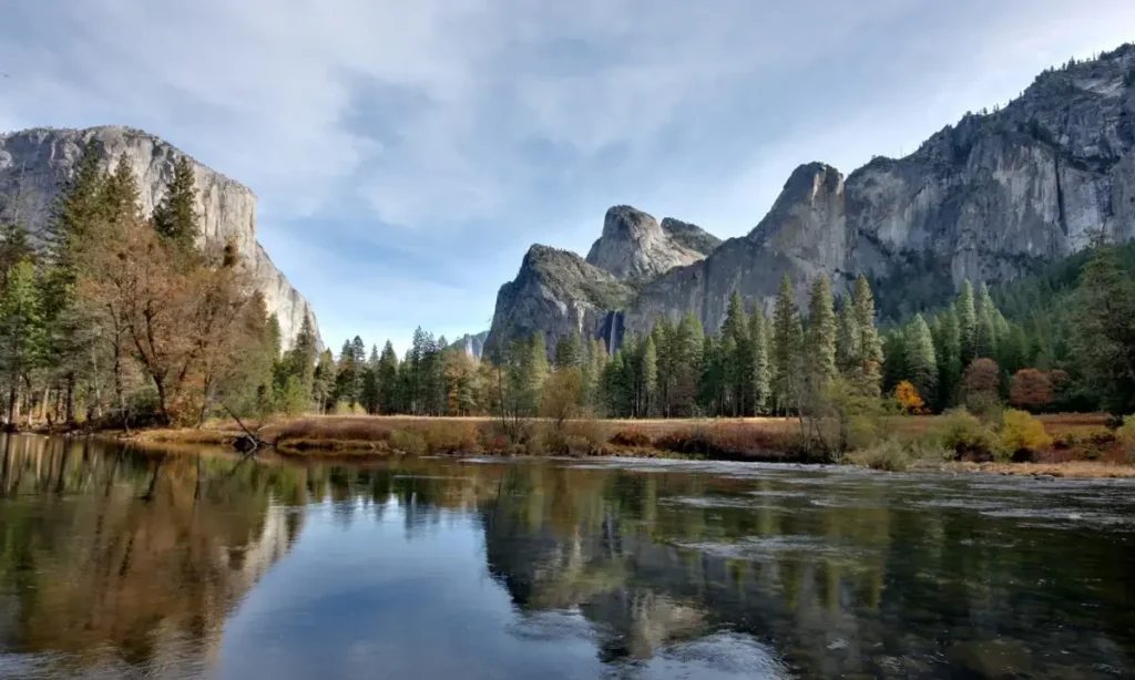 El Capitan Meadow