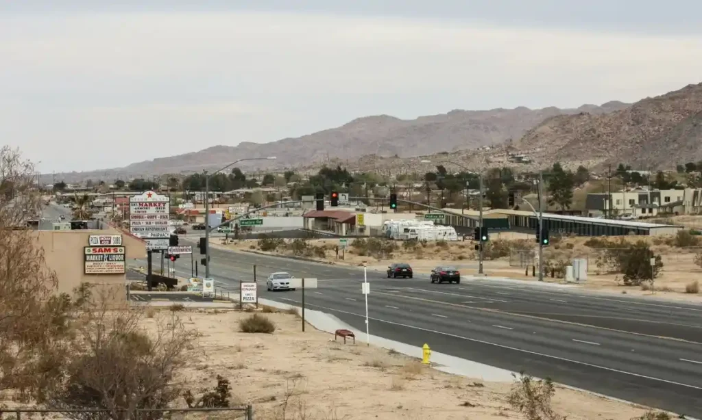 JoshuaTreeCalifornia