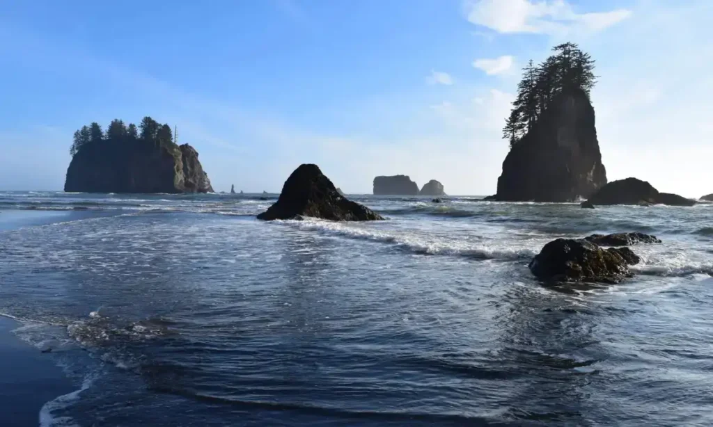 La Push Second Beach