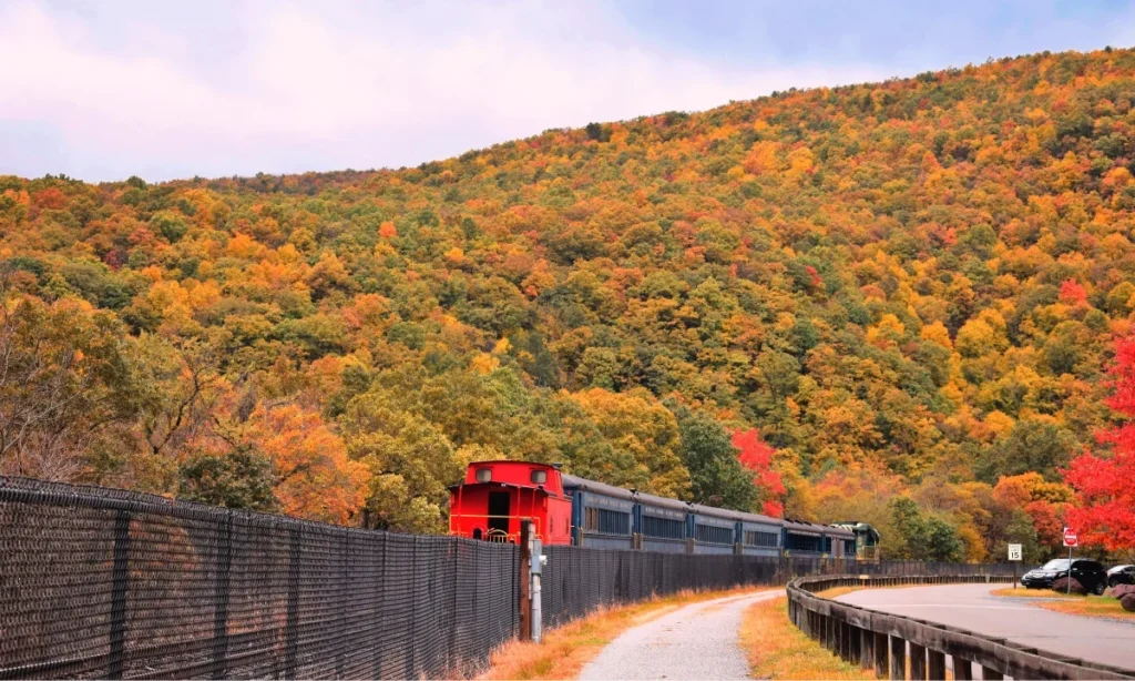 Lehigh Gorge Scenic Railway
