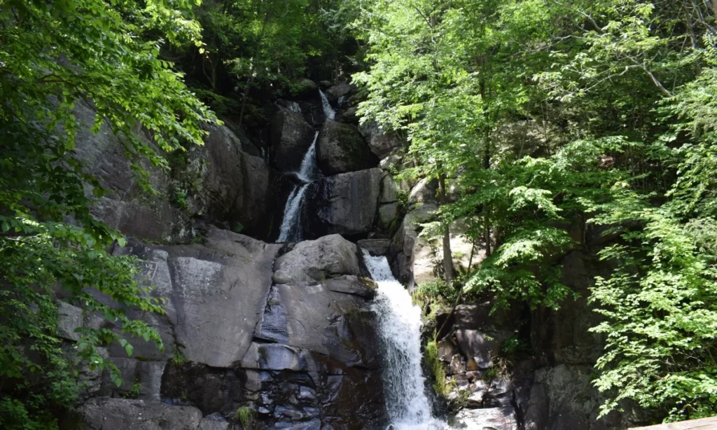Lehigh Gorge State Park