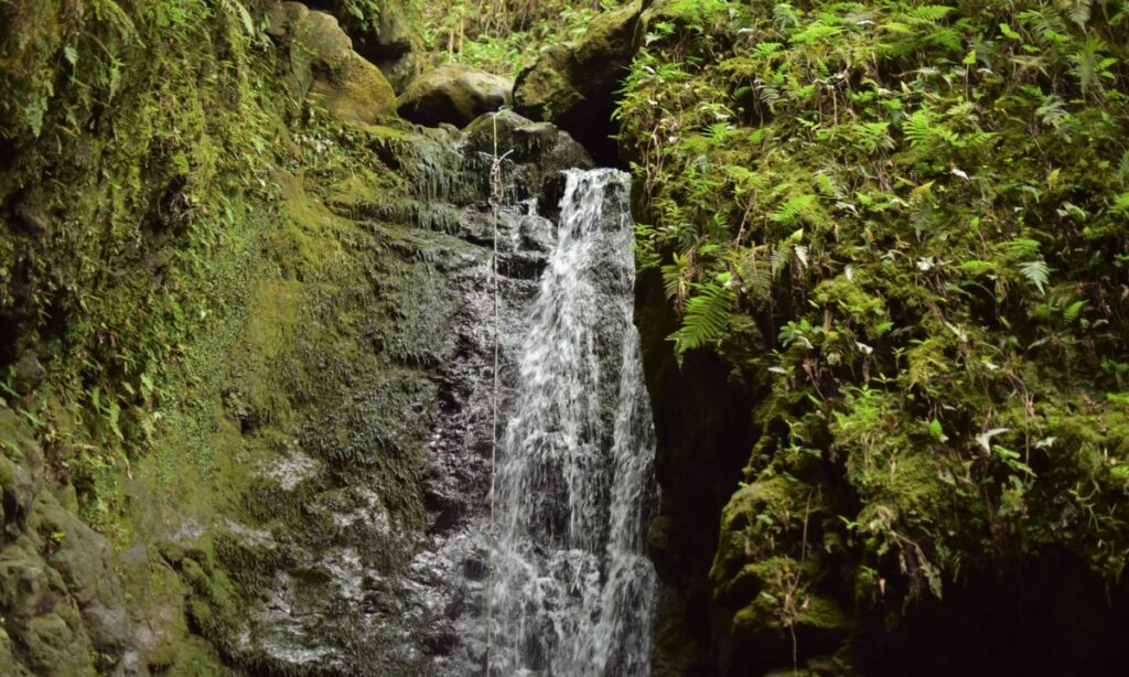 Makamakaole Falls Hike