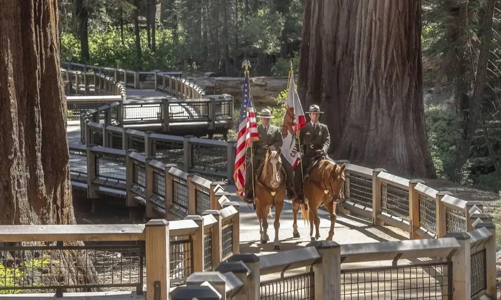 Mariposa Grove of Giant Sequoias