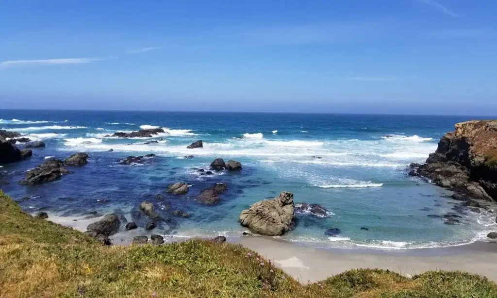 Mendocino Coast