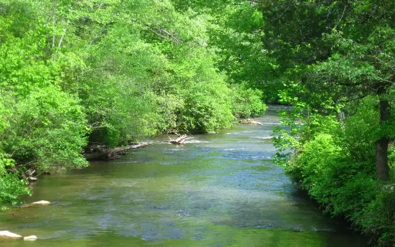Nantahala National Forest