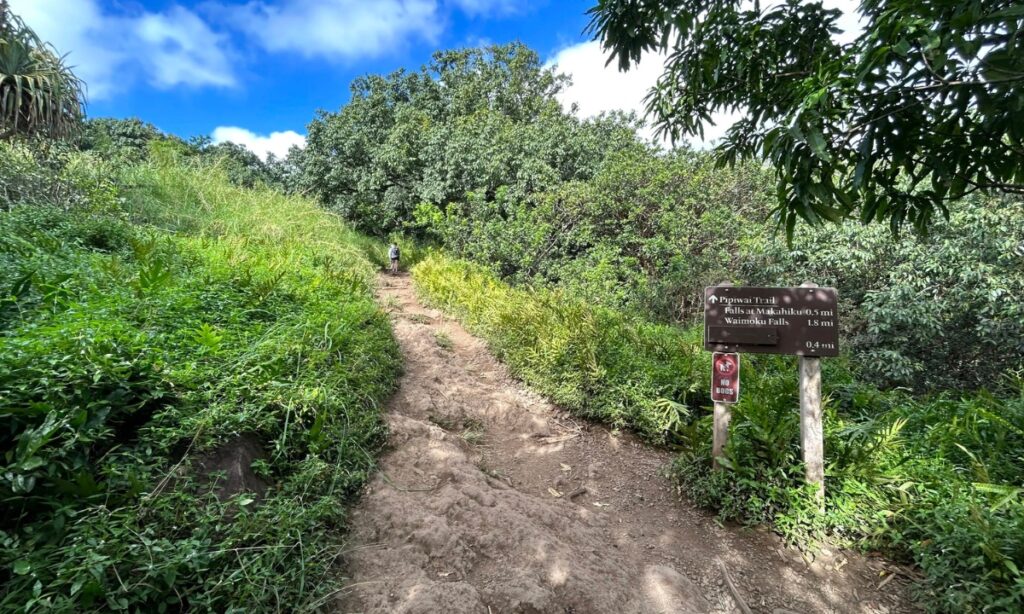 Pipiwai Trail