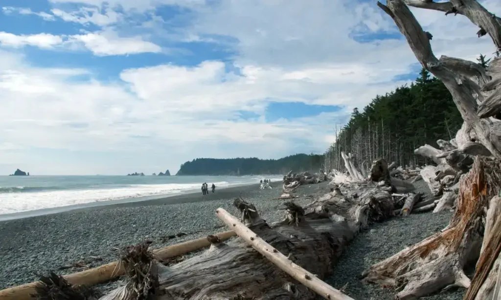 Rialto Beach, Olympic National Park