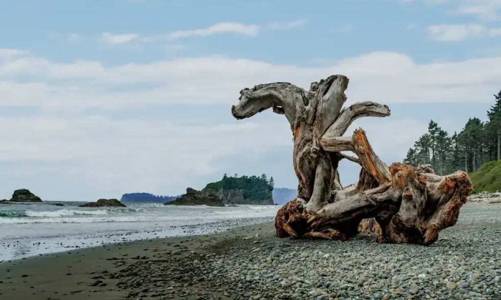  Ruby Beach, Olympic National Park