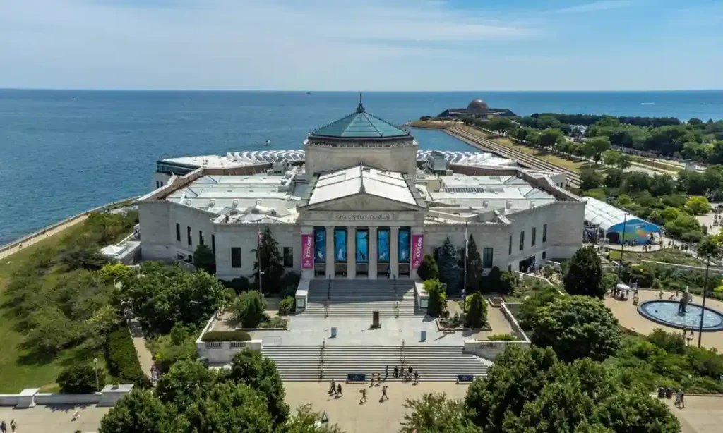 SheddAquarium