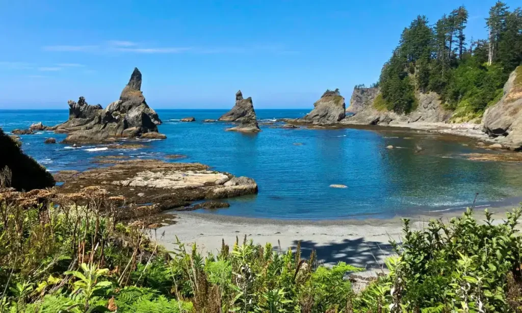 Shi Shi Beach, Olympic National Park