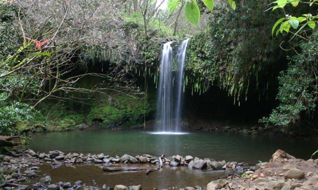 Twin Falls Maui Hike