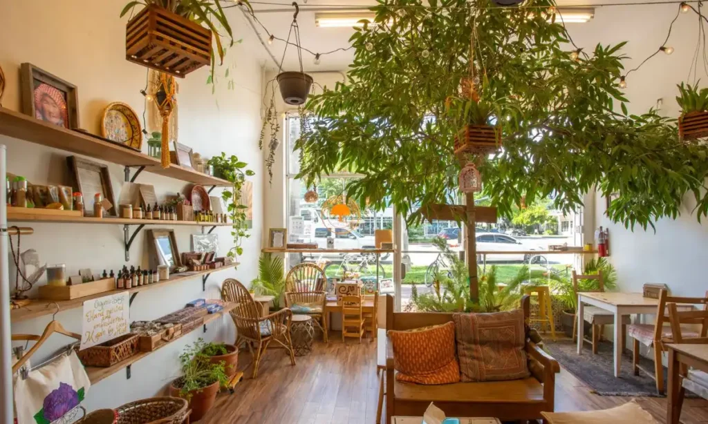 Under the Mango Tree