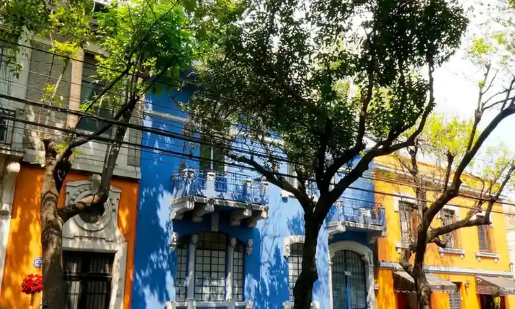 WanderThroughtheRomaNeighborhood